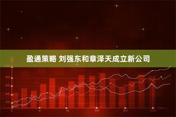盈通策略 刘强东和章泽天成立新公司